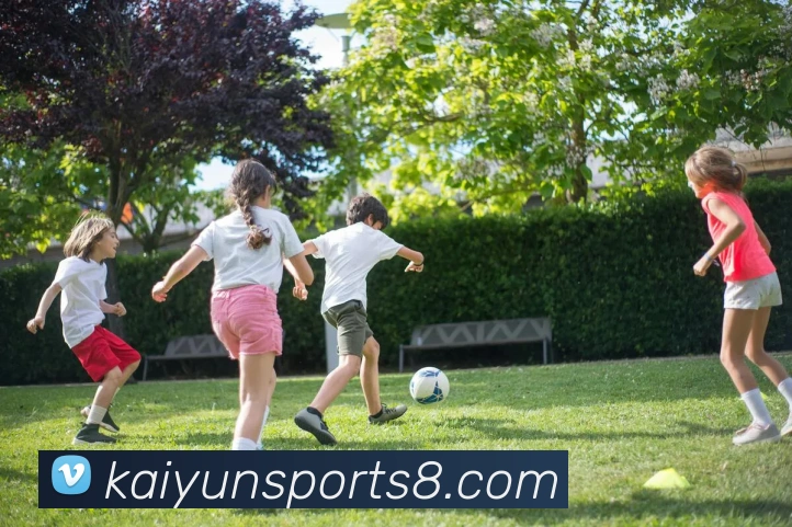 开云体育登录平台生态图