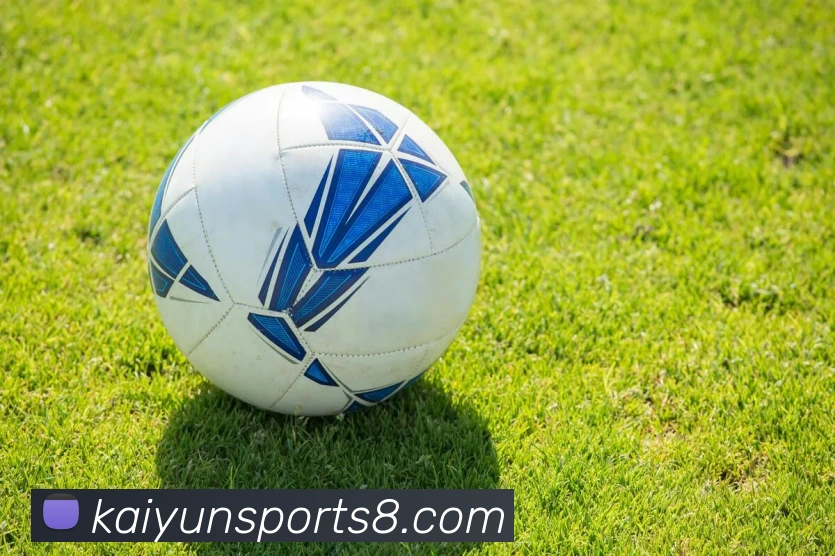 开云体育登录APP 封面图